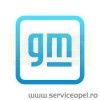 Curea si role accesorii