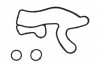 Garnituri motor