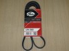 Curea si role accesorii