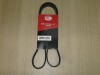 Curea si role accesorii