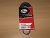 Curea si role accesorii