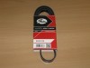 Curea si role accesorii