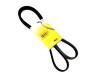 Curea si role accesorii