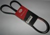 Curea si role accesorii