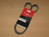 Curea si role accesorii