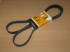 Curea si role accesorii