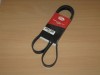 Curea si role accesorii