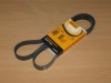 Curea si role accesorii