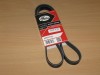 Curea si role accesorii