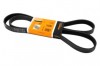 Curea si role accesorii