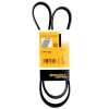 Curea si role accesorii