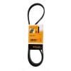 Curea si role accesorii
