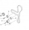 Distributie